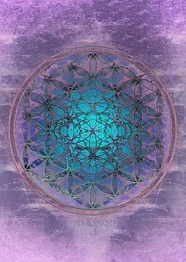 Flower Of Life purple aqua