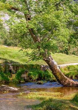 Malham Cove Landscape