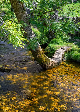 Malham Cove Landscape