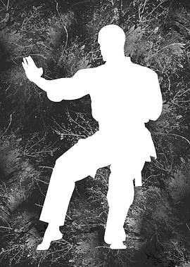 Karate silhouette 23