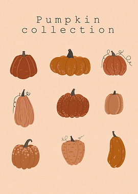 Pumpkin collection