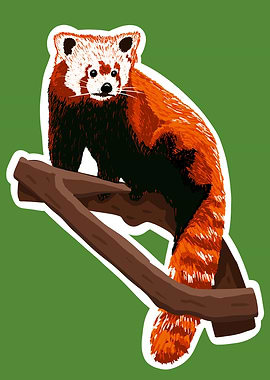 Red Panda