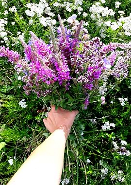Magic purple bouquet