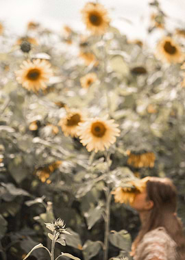 Girl in sunflowers