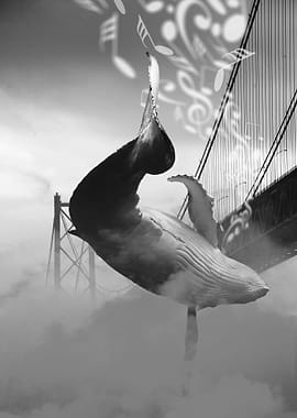 Whale Music at the Bridge