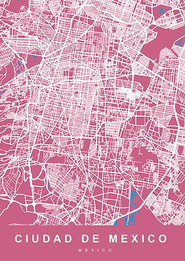 CIUDAD DE MEXICO Pink