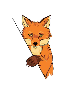 FOX ILLUSTRATION