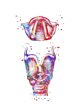 Larynx