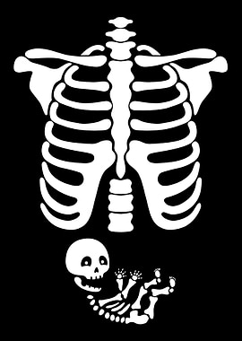 Pregnant Baby Skeleton
