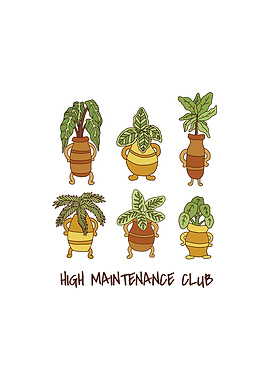 HIGH MAINTENANCE CLUB