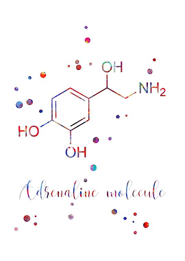 Adrenaline molecule