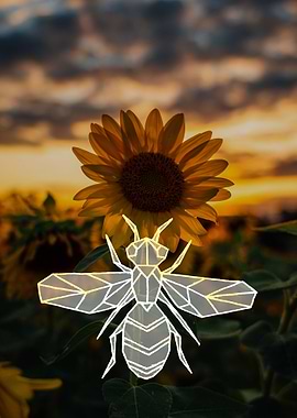 Sunflower wasp at sunset