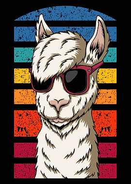 Stylish llama Alpaca