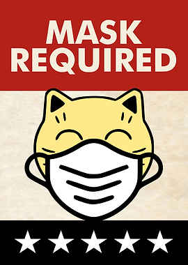 MASK REQUIRED CAT