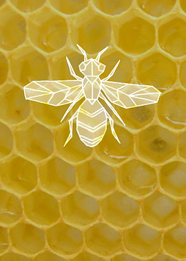 Honeycomb Bee