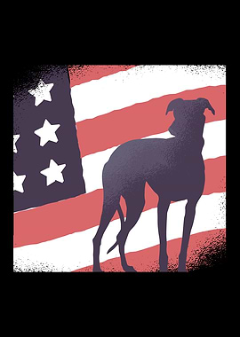 DOG AMERICAN FLAG