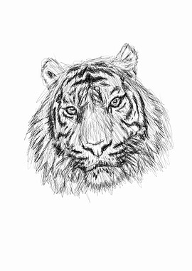 Tiger Scribble Artwork