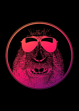 Monkey With Sunglasses