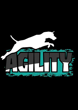 Agility Agility Hurdles