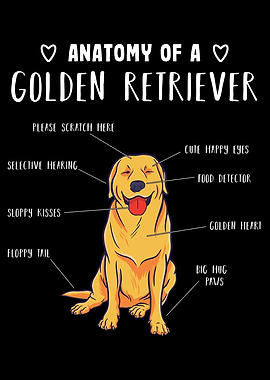 Cute Golden Retriever Gift