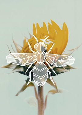 Sunflower wasp