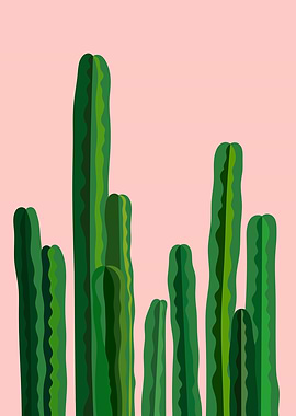 Cacti