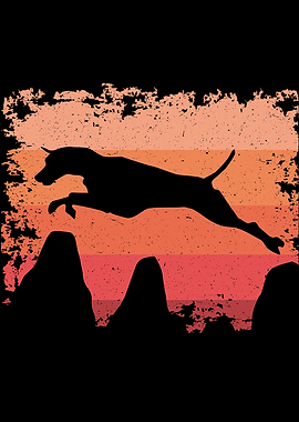 Agility Dogs Agility