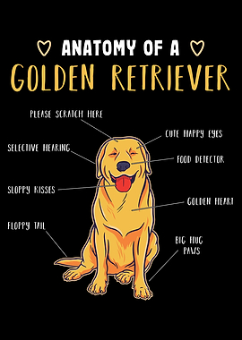 Golden Retriever Gift