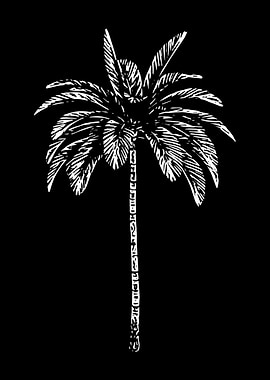 Palm Tree Beach Surfing