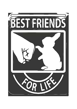 Bunnies Rabbits Best