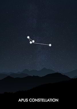 Apus Constellation