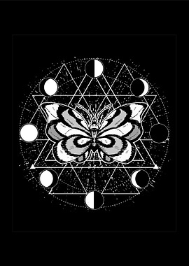 Occult Moon Phase Moth