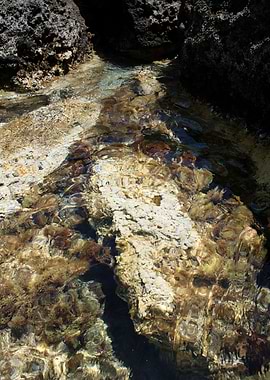 Kedrodasos beach crete