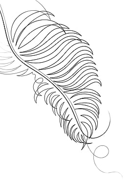 Palm Leaf Line Drawing