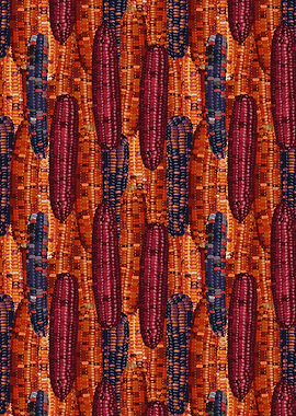 Pattern of Corn Ears