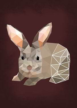 Rabit Geometric Lineart