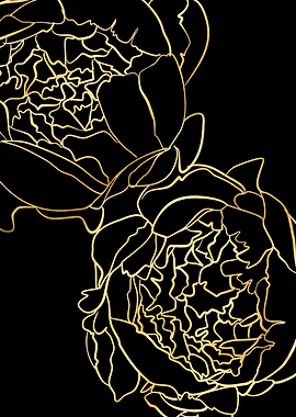 Sally peonies gold black