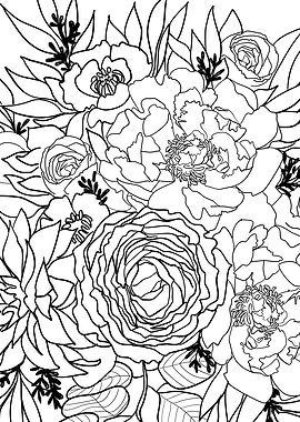 Nanette black line art