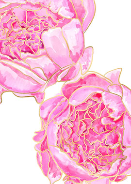 Sally peonies in pink