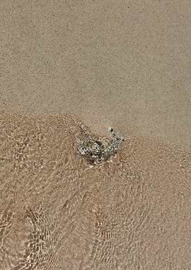 Kedrodasos beach creta