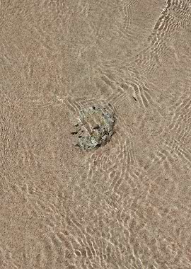 Kedrodasos beach creta