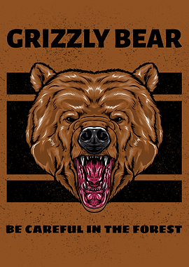 Grizzly Bear Animal Face