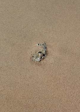 Kedrodasos beach creta