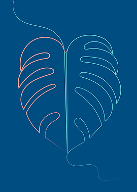 Swiss Cheese Plant Leaf