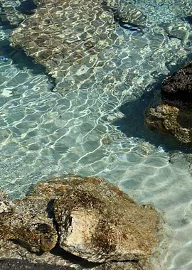 Kedrodasos beach creta