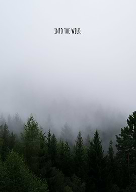 Into the Wild