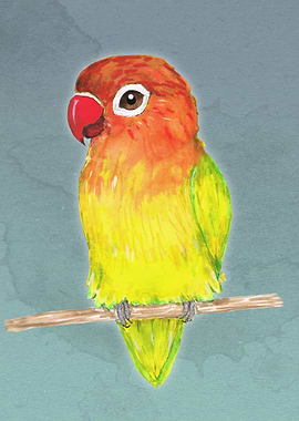 Cute yellow Fischers love