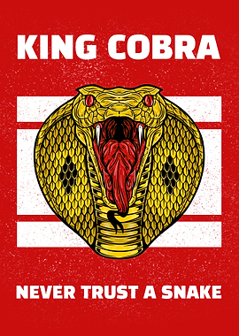 Angry Snake Cobra Animal