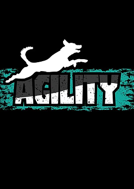 Agility For Dogs