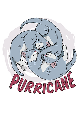 Purricane Cat Hurricane